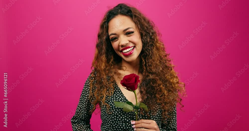 Beautiful young woman flirts with single stem rose, Valentine's Day, pink studio Beautiful young woman flirts with single stem rose, Valentine's Day, pink studio