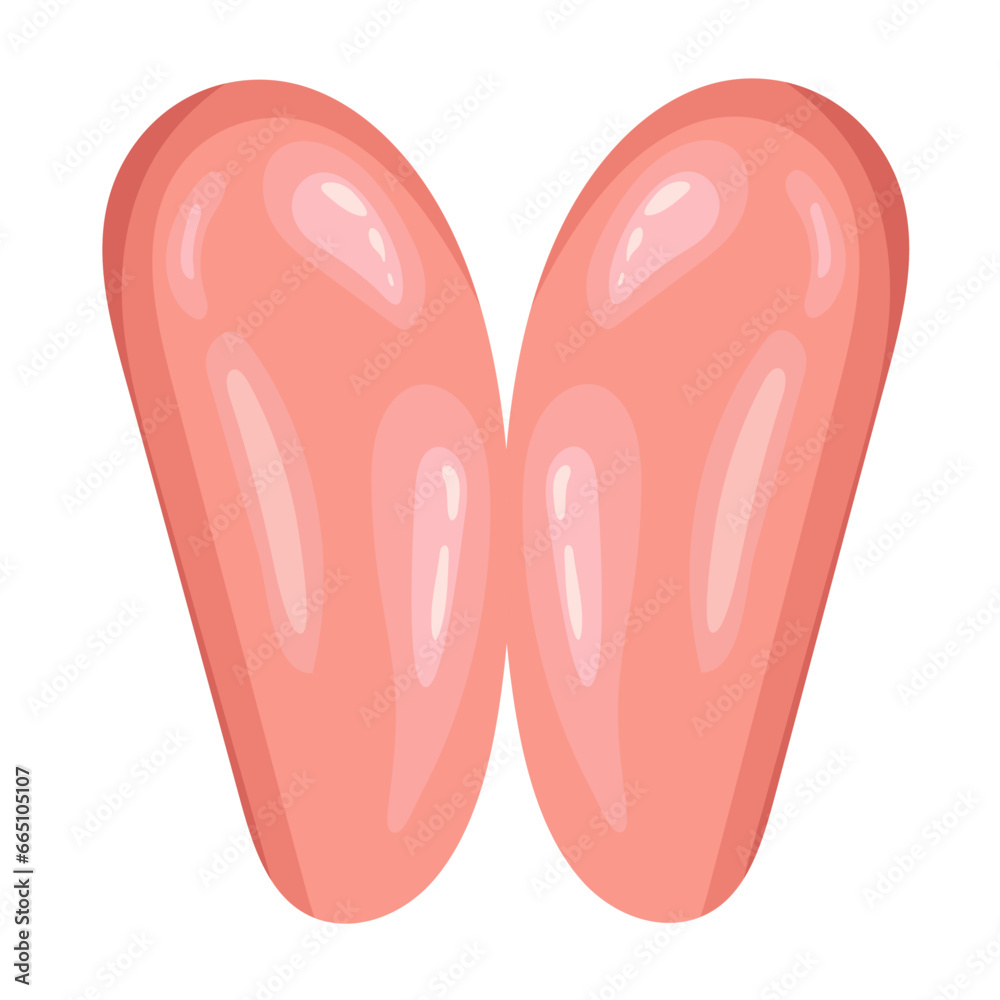 chicken fillet illustration vector food chicken fillet illustration vector food