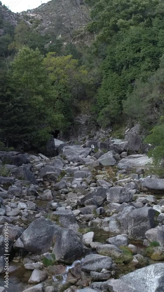 Vertical Video of water stream among rocks Vertical Video of water stream among rocks