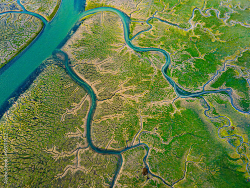 Blue river channels crisscrossing expansive green marsh photo