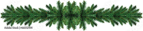 green pine tree leaves or christmas wreath border isolated on white or transparent png