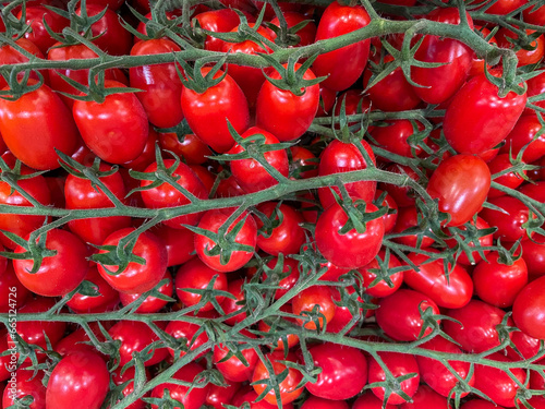 roma tomatoes on the vine close up © Tamela