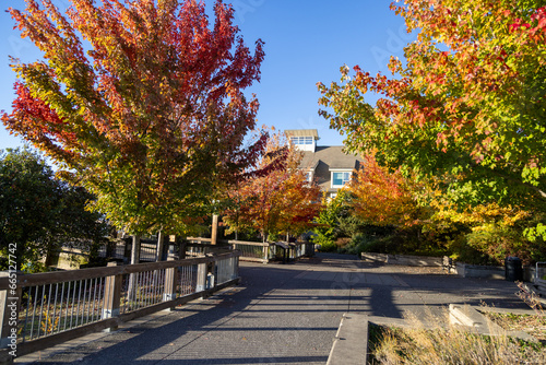 autumn in the park