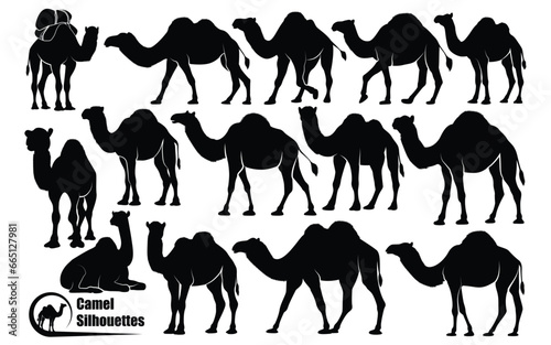 Animal Camel Silhouettes vector art