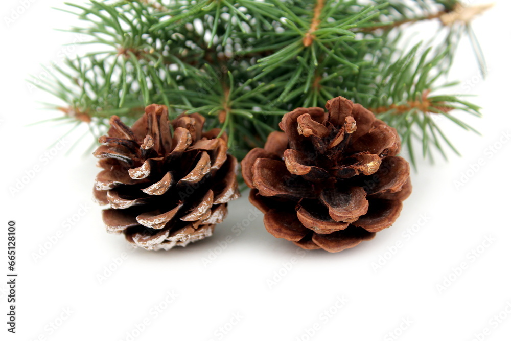 Two cones with fir branches lie on a white background. Two cones with fir branches lie on a white background.