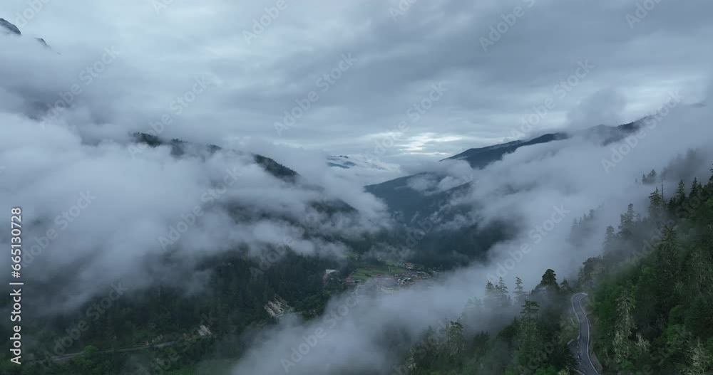 Beautiful forest landscape in Sichuan, China Beautiful forest landscape in Sichuan, China