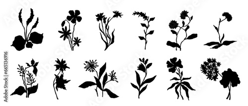 Set of silhouettes, doodles of wild herbs, flowers, branches. Vector graphics. © Екатерина Якубович