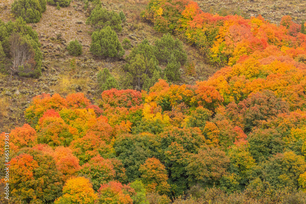 Scenic Autumn Landscape in Southeast Idaho Scenic Autumn Landscape in Southeast Idaho
