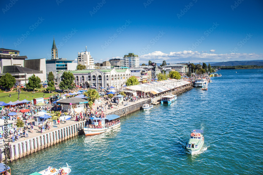 Naklejka premium valdivia