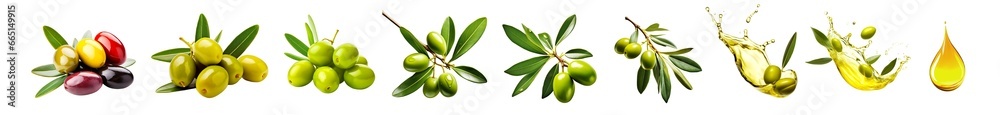 Set of Olive branches isolated cutout on transparent background. Splash of olive oil - obrazy, fototapety, plakaty 