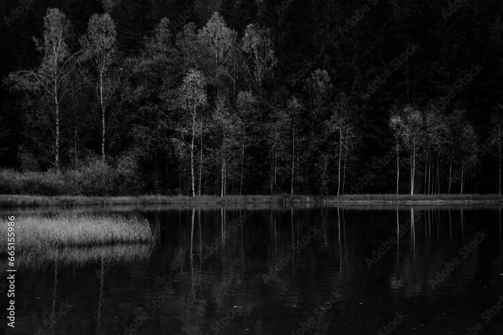 reflections with forest in autumn lake, Sf Ana lake