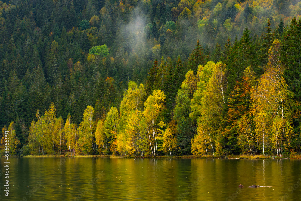 reflections with forest in autumn lake, Sf Ana lake