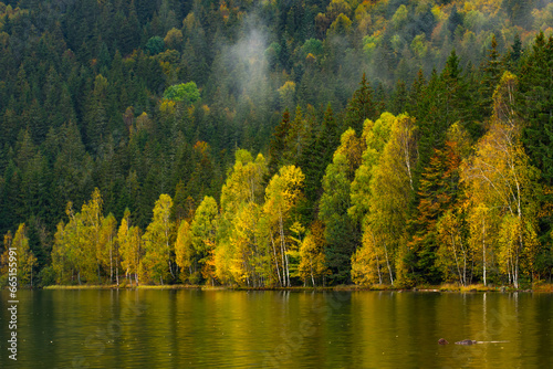 reflections with forest in autumn lake  Sf Ana lake