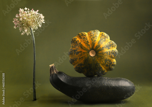 Still life with zucchini, pattison and leek flower. photo