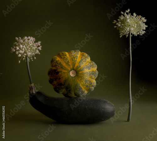 Still life with zucchini, pattison and leek flowers. photo