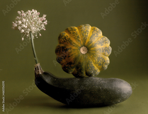Still life with zucchini, pattison and leek flower. photo