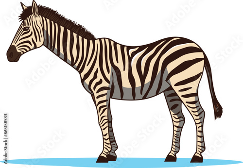 Zebra  striped horse  African savannah animal  cartoon vector