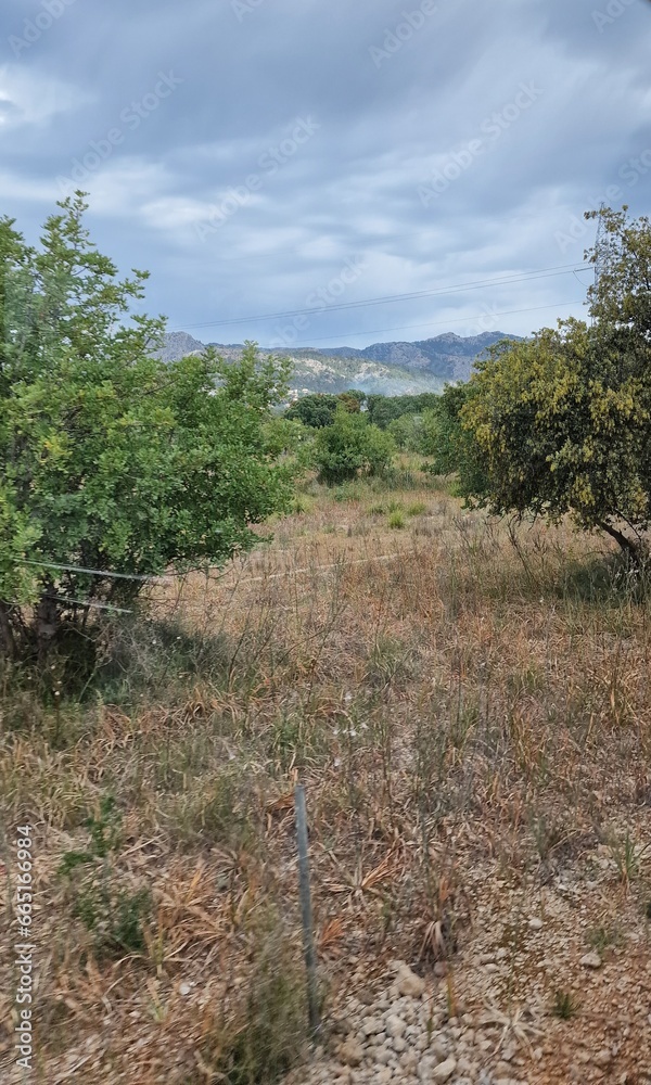 landscapes of beautiful island of mallorca landscapes of beautiful island of mallorca