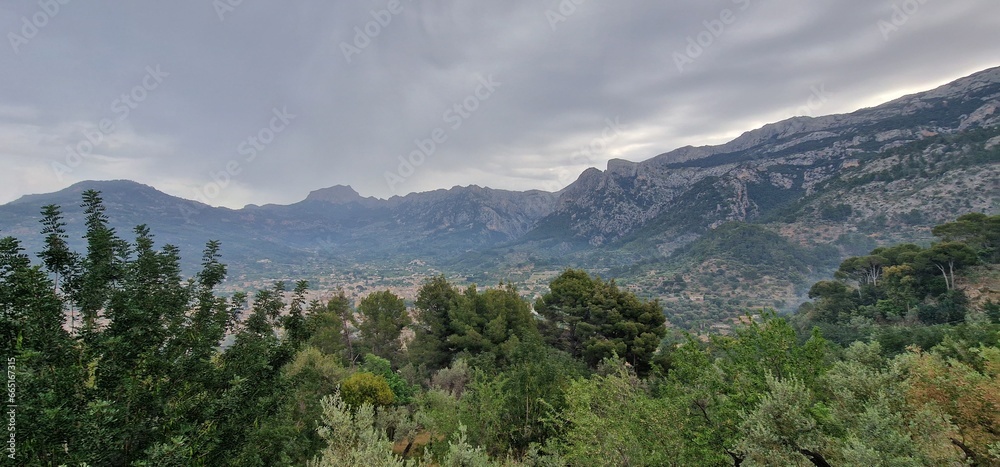 valley Surrounded by orchards of fruit trees and orange trees, we find the town of Sóller with its historic center of narrow cobbled streets full of elegant modernist mansions and traditional Mallorca