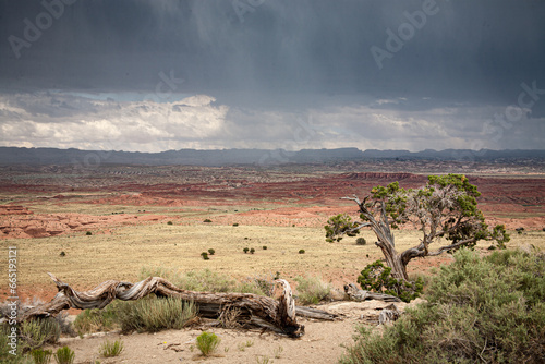storms clouds across the landscape in New Mexico