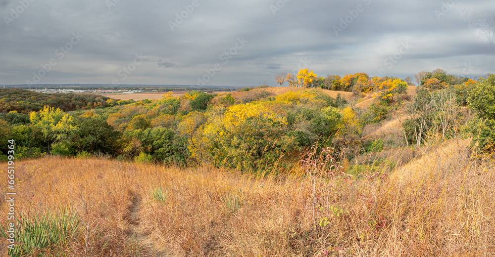 Fototapeta premium beautiful landscape of trees with autumn colors under cloudy skies