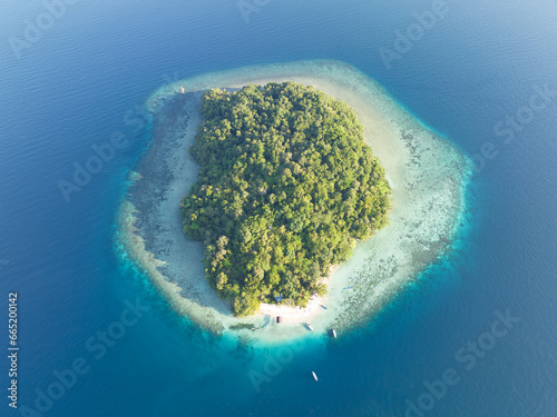 An idyllic, tropical island, surrounded by coral reef, is found in the Dampier Strait of Raja Ampat. This area is known as the heart of the Coral Triangle due to its incredible marine biodiversity. © ead72