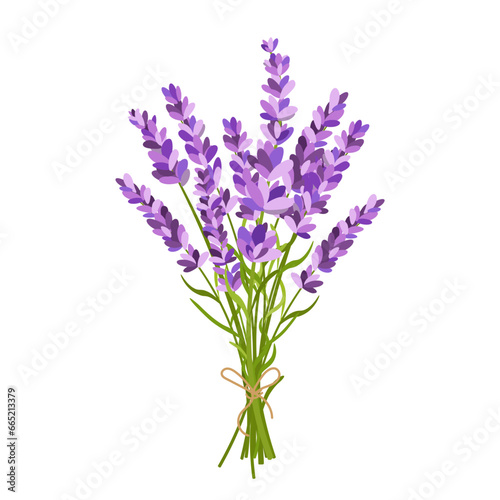 Lavender bouquet illustration
