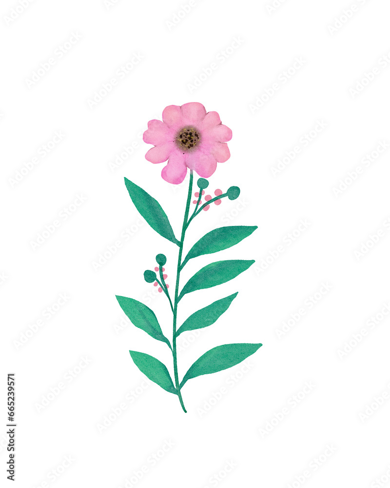 Beautiful flower set Beautiful flower set