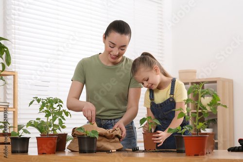 Mother and daughter planting seedlings into pot together at wooden table in room