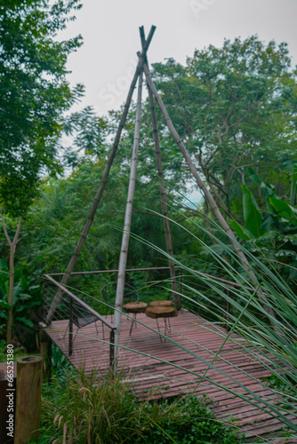 Paraguay nature jungles 