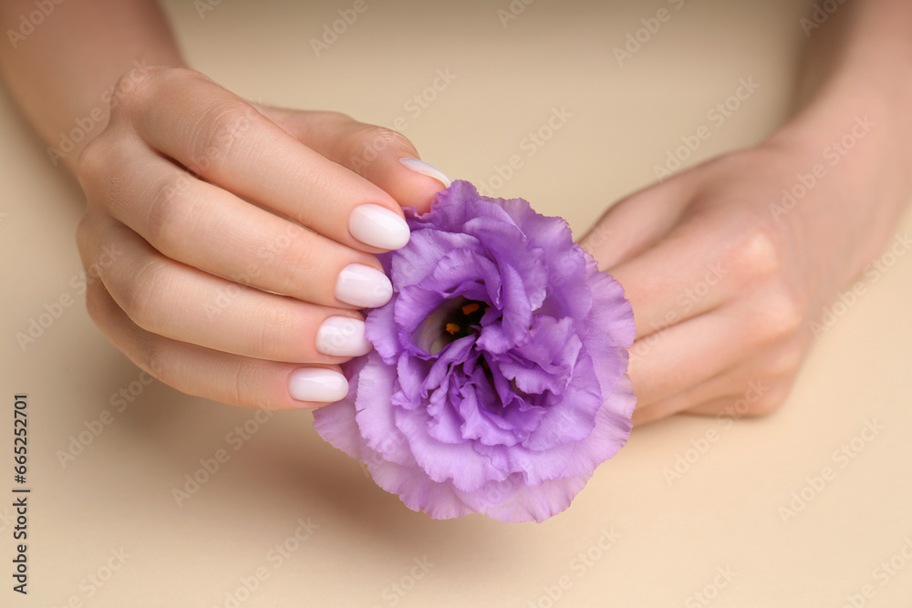 Fototapeta premium Woman with white nail polish holding violet eustoma flower on beige background, closeup