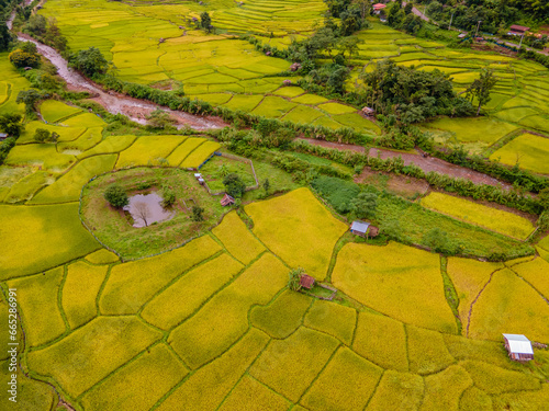 yellow green golden rice paddy field terraces at Sapan Bo Kluea Nan Thailand, a green valley with green rice fields and mountains