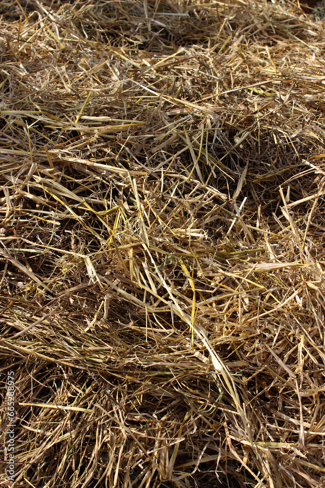 Hay, straw, or dry grass, used in gardening and agriculture for covering, protecting and nourishing the soil and composting, in livestock farming for animal feed and in bioconstruction.
