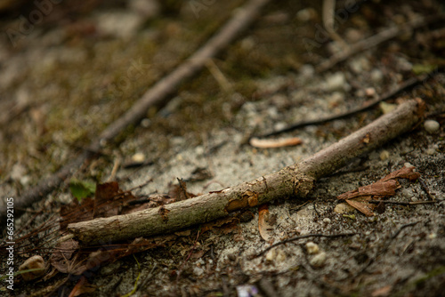 stick on the ground