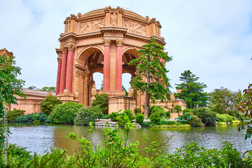 Lagoon with giant sycamore tree in front of Palace of Fine Arts open rotunda