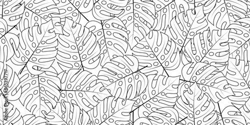 hand drawing monstera leaves seamless pattern