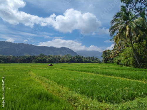 Beautiful View in Monaragala(in Bibile Area) Sri Lanka. photo