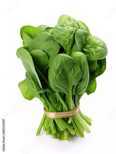 Bunch of spinach isolated on white background.