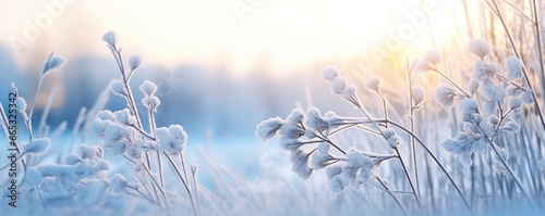 Frozen snowy grass  winter natural abstract background. beautiful winter landscape.