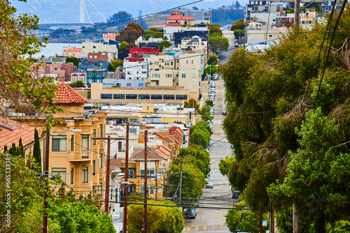 Row of green trees lining road with telephone wires crisscrossing and residential buildings in city