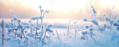 Frozen snowy grass, winter natural abstract background. beautiful winter landscape. © Khalada