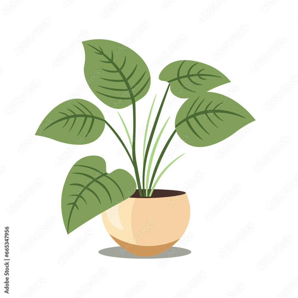 House plant flat icon vector illustration, isolated on white background, cartoon potted plants House plant flat icon vector illustration, isolated on white background, cartoon potted plants