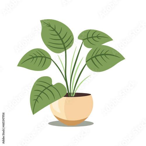 House plant flat icon vector illustration, isolated on white background, cartoon potted plants