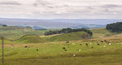 looking across craggy hills along Hadrian's Wall Path near Housesteads, Northumberland, UK