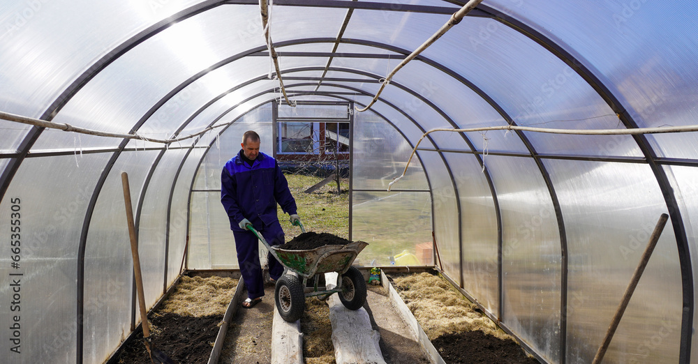 A man works in a vegetable garden in early spring. Digs the ground. Working in a greenhouse A man works in a vegetable garden in early spring. Digs the ground. Working in a greenhouse