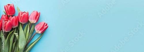 Bouquet of red tulip on blue Background. Top view with copy space.