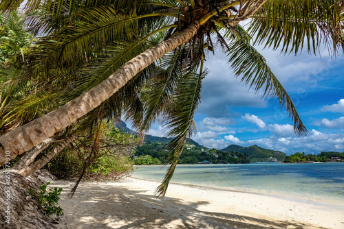 Beautiful tropical  beach Seychelles, Mahe island. photo