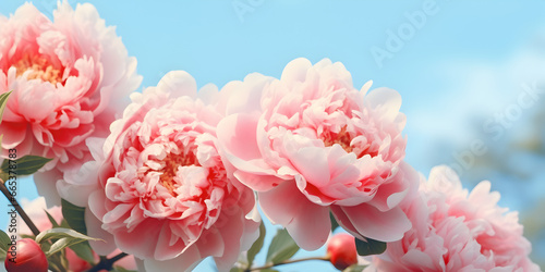 Beautiful Fresh Rose Flowers,,
Vibrant Roses in Bloom Generative Ai