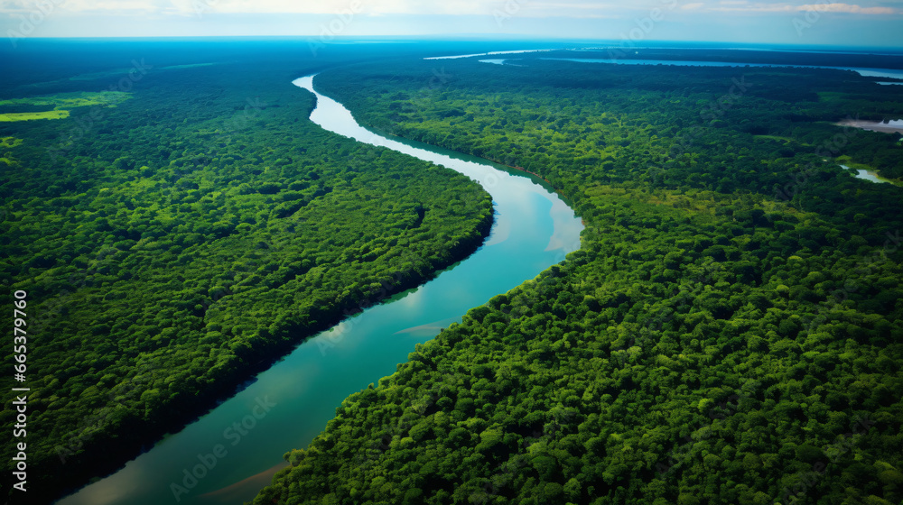 River in the jungle seen from above
