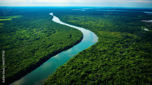 River in the jungle seen from above © Fauzia